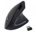 EQUIP RATON INALAMBRICO RF ERGONOMICO
