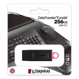 PEN DRIVE DataTraveler Exodia unidad flash USB 256 GB USB tipo A 3.2 Gen 1 (3.1 Gen 1) Negro