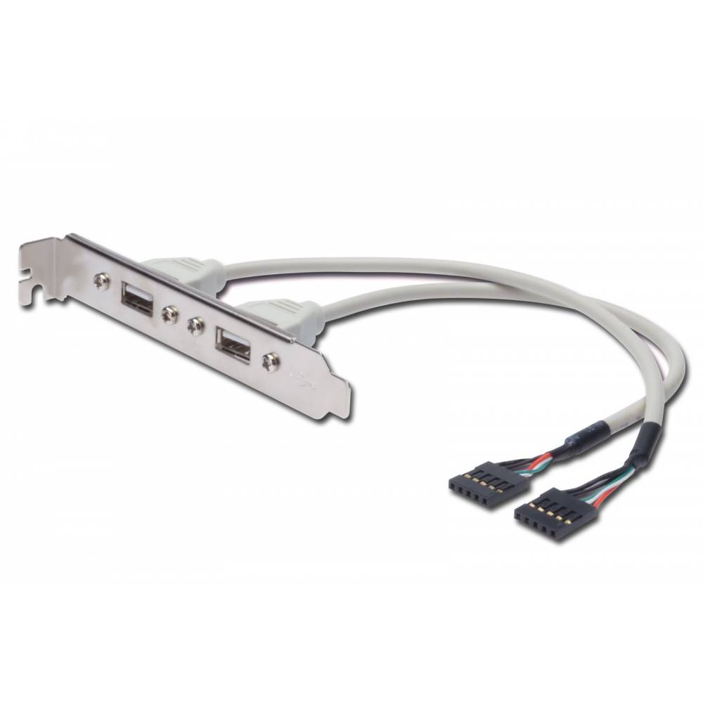 CABLE SOPORTE SLOT 2 USB 0,25 Mts. (C3)